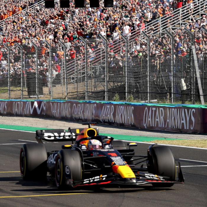 1:18 RB19 GP Hungary 2023 - Winner image
