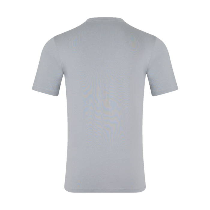 Large Front Logo T-shirt - Grey image