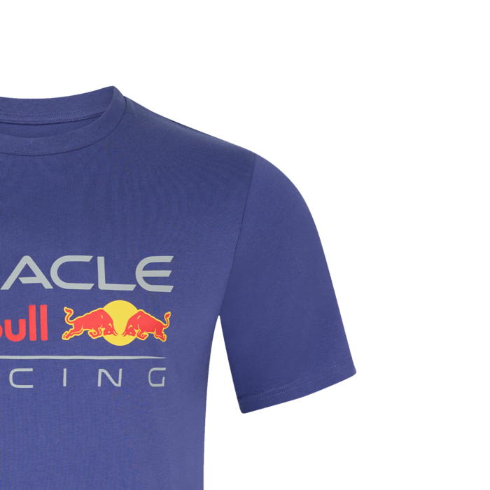Large Front Logo T-shirt - Blue image