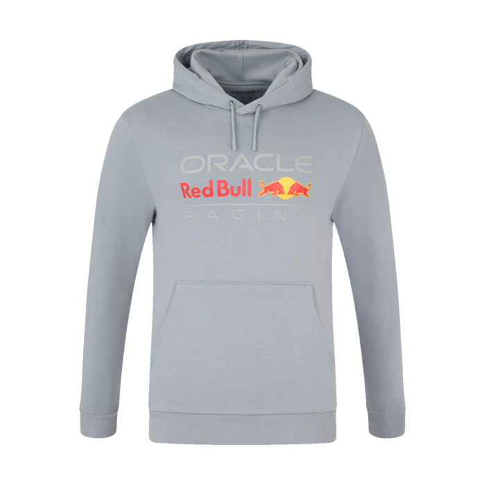 Large Front Logo Hoodie - Grey image