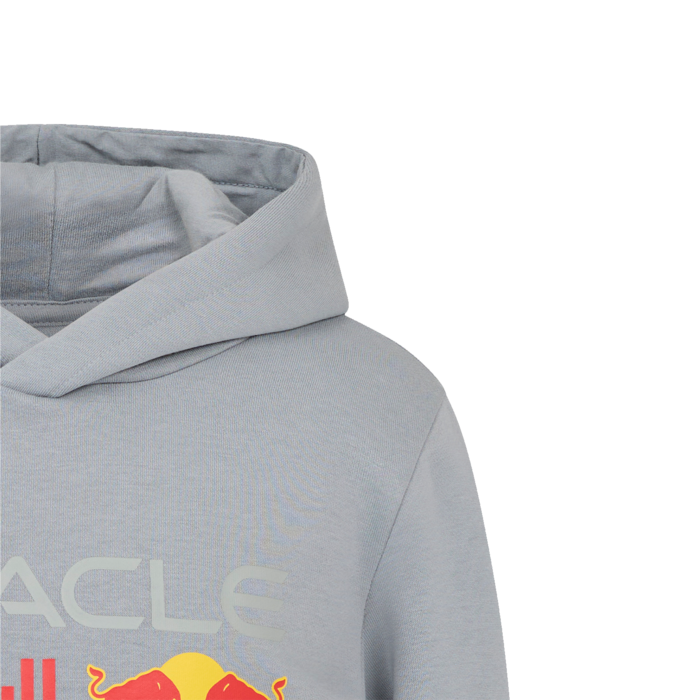 Kids - Large Front Logo Hoodie - Grey image