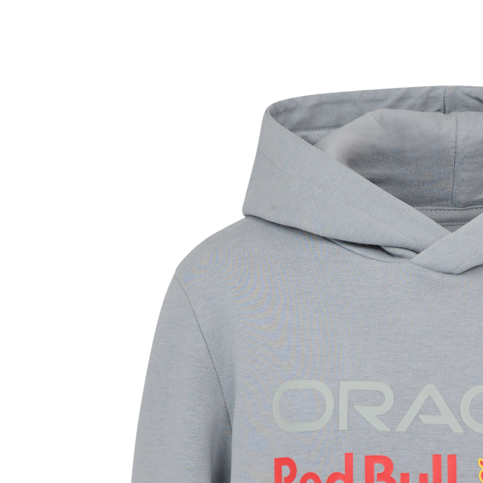Kids - Large Front Logo Hoodie - Grey image