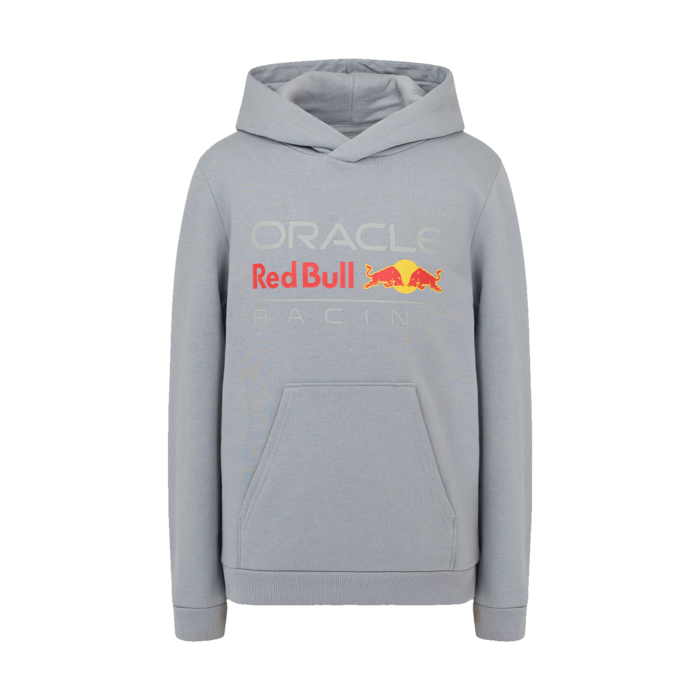 Kids - Large Front Logo Hoodie - Grey image
