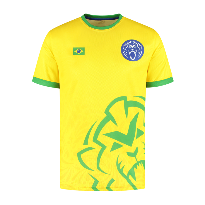 Brazil Sportshirt 2024 - Max Verstappen image