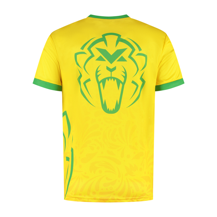 Brazil Sportshirt 2024 - Max Verstappen image