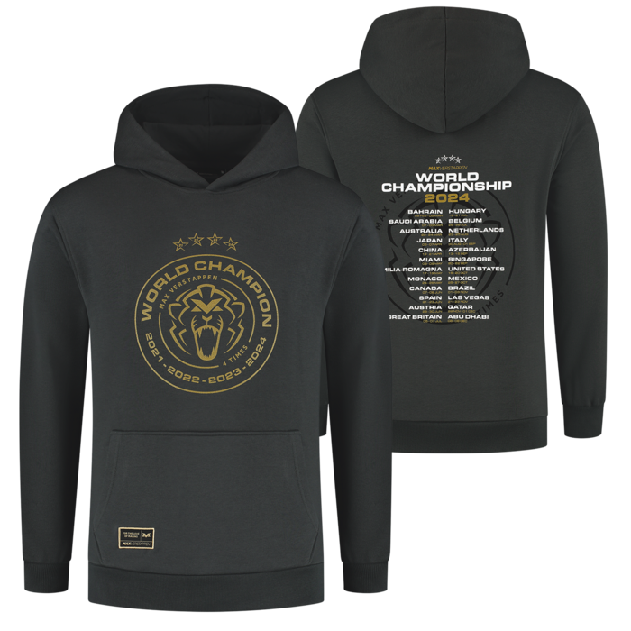 World Champion 2024 Hoodie - Charcoal image