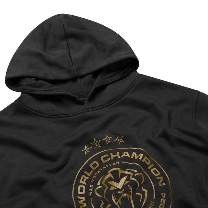 Kids - World Champion 2024 Hoodie - Charcoal image