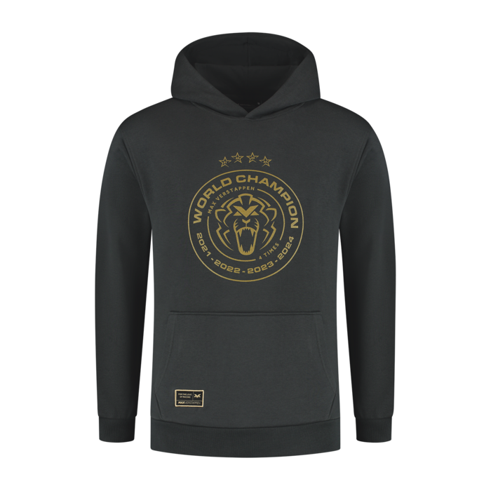 Kids - World Champion 2024 Hoodie - Charcoal image