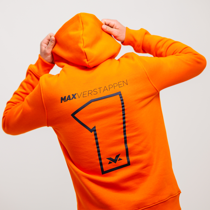 Hoodie - Orange - Unleash The Lion image