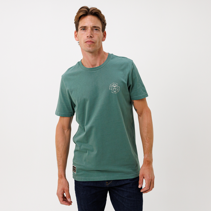 T-Shirt - Green Bay - Unleash The Lion image