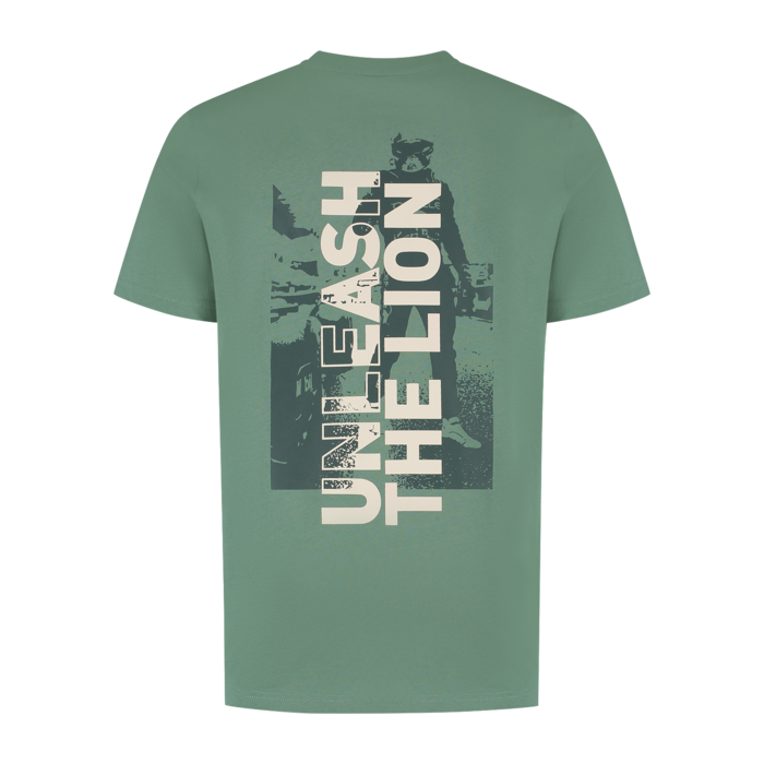 T-Shirt - Green Bay - Unleash The Lion image