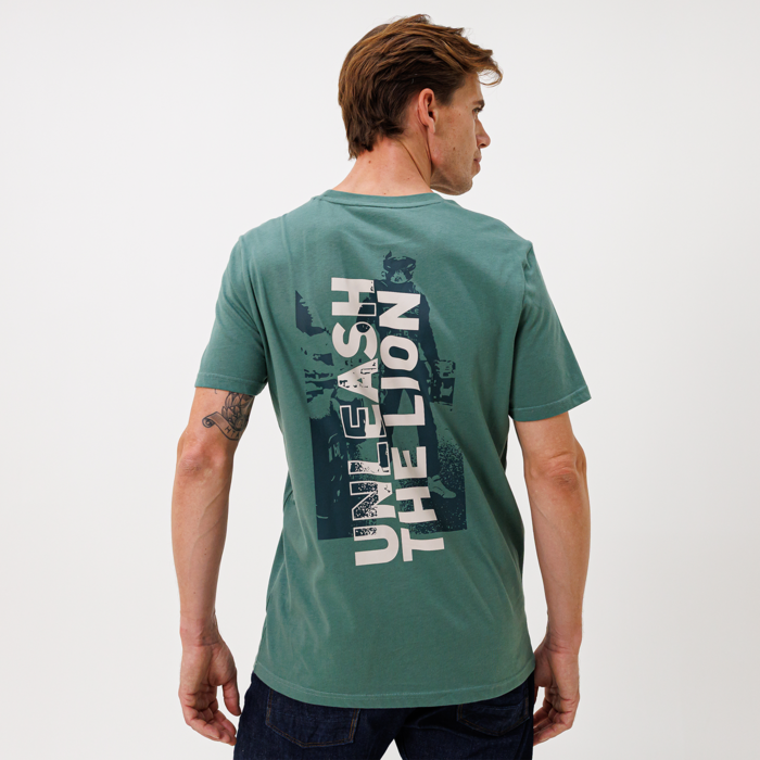 T-Shirt - Green Bay - Unleash The Lion image