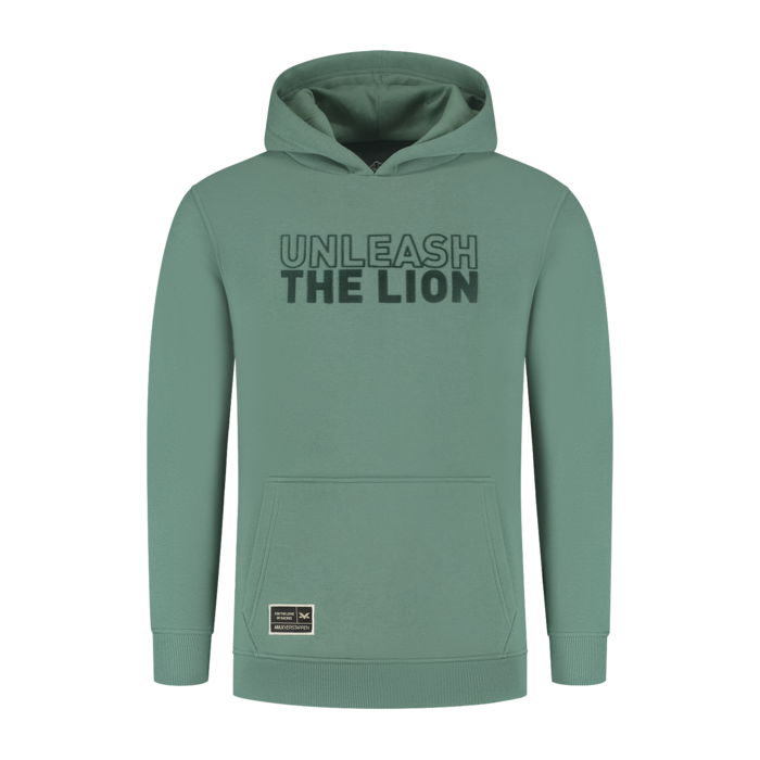 Hoodie - Green Bay - Unleash The Lion image