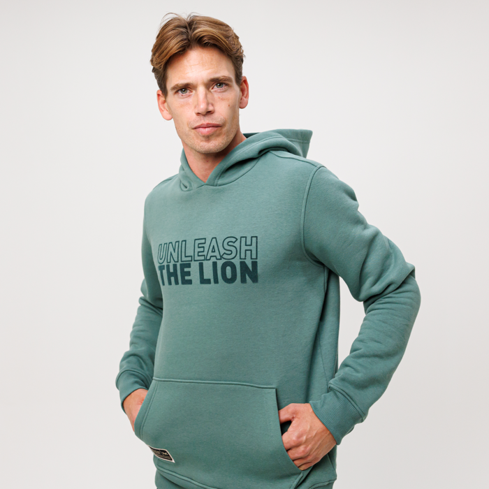 Hoodie - Green Bay - Unleash The Lion image