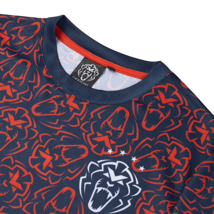 Kids - Orange Lion Sportshirt - Unleash The Lion image