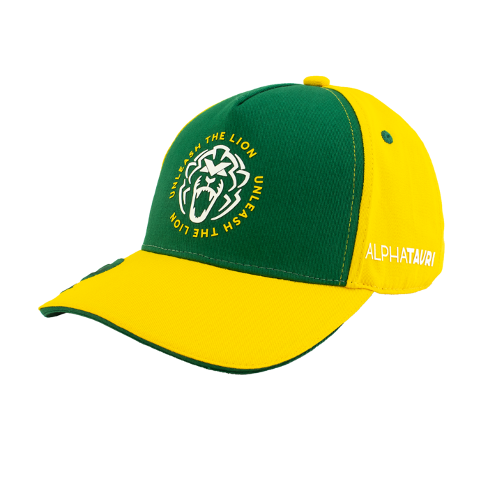 Brazil Cap 2025 - Max Verstappen image