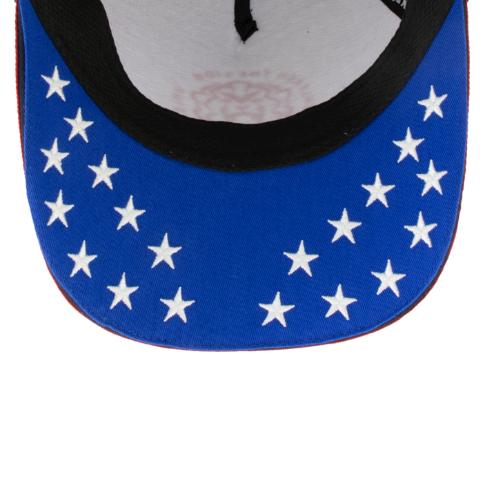 USA Cap 2025 - Max Verstappen image