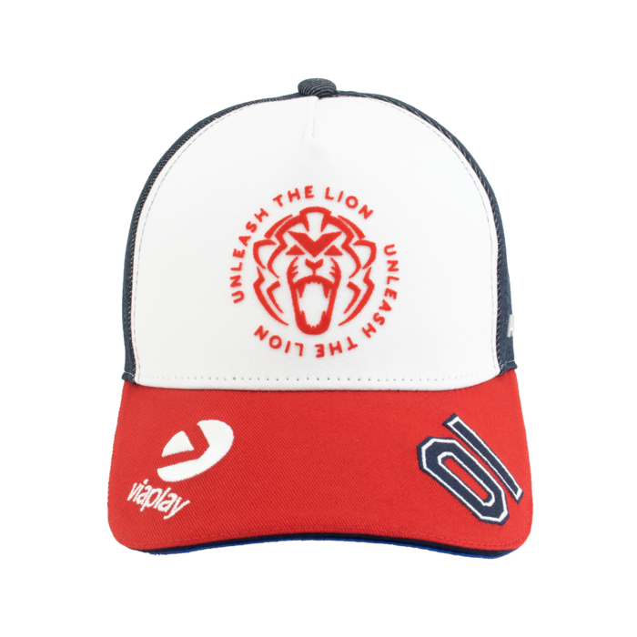 USA Cap 2025 - Max Verstappen image