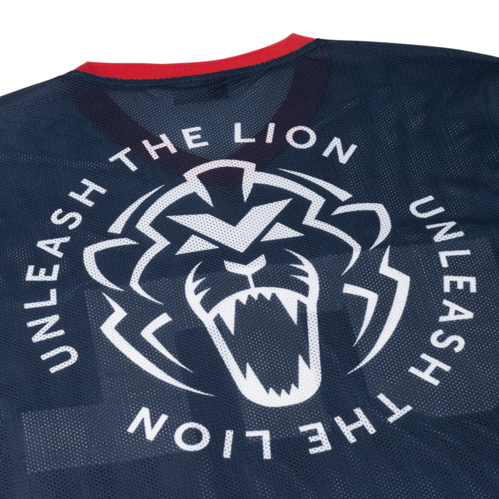 USA Mesh Jersey 2025 - Max Verstappen image