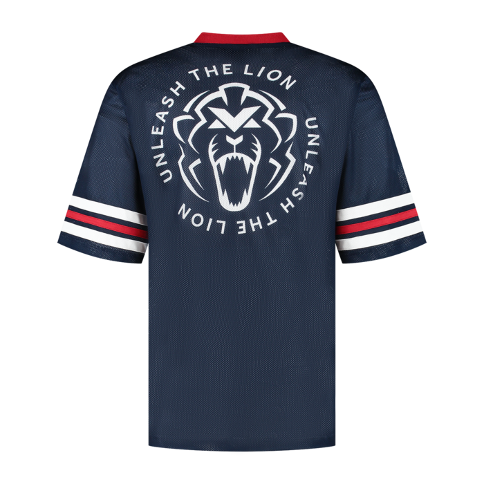 USA Mesh Jersey 2025 - Max Verstappen image