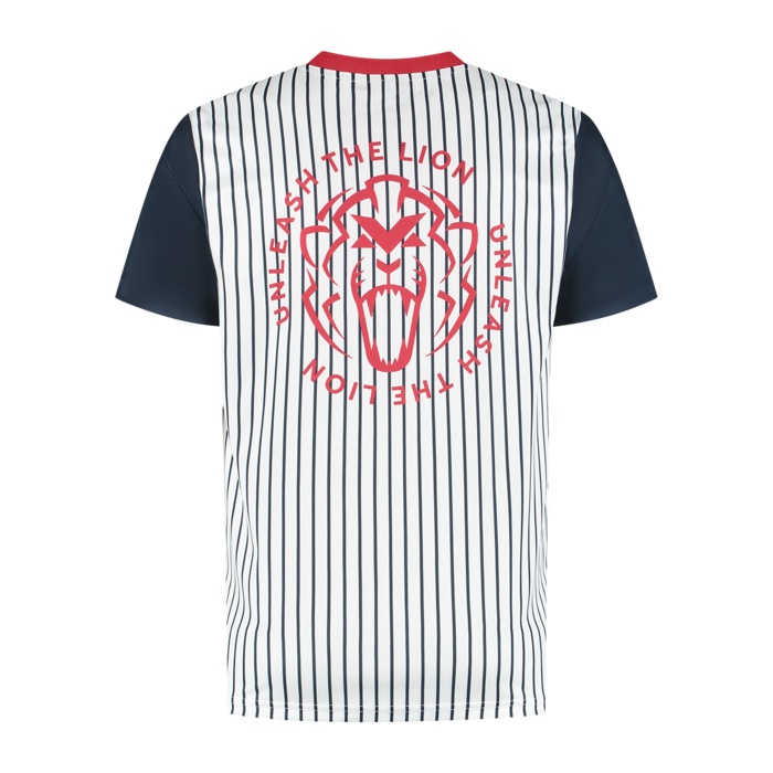 USA Sportshirt 2025 - Max Verstappen image