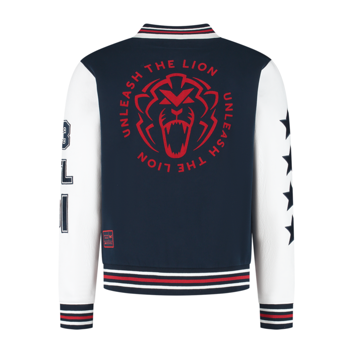 USA Vest 2025 - Max Verstappen image