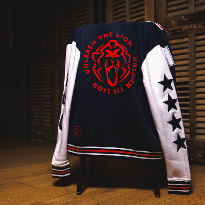 USA Vest 2025 - Max Verstappen image