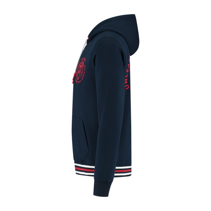 USA Hoodie 2025 - Max Verstappen image