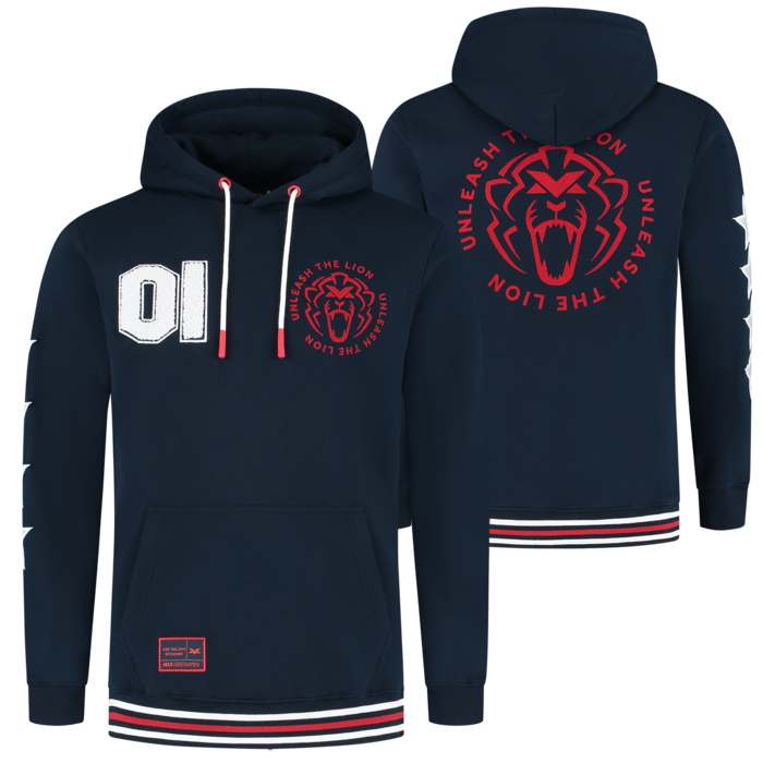 USA Hoodie 2025 - Max Verstappen image