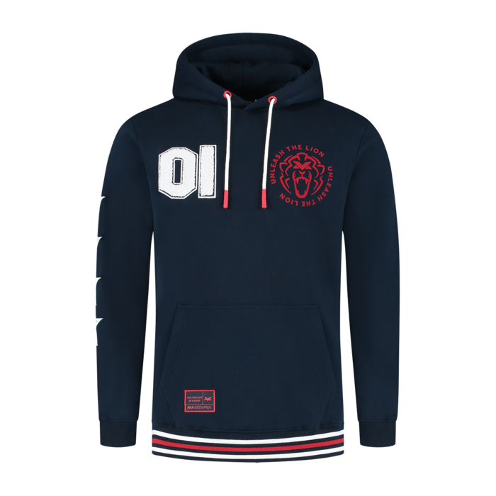 USA Hoodie 2025 - Max Verstappen image