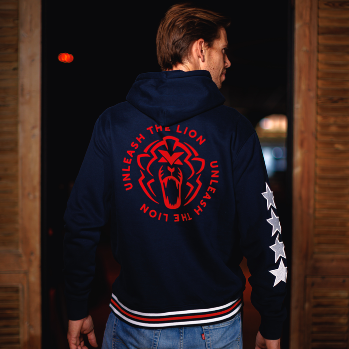 USA Hoodie 2025 - Max Verstappen image