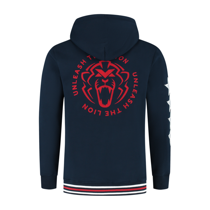 USA Hoodie 2025 - Max Verstappen image
