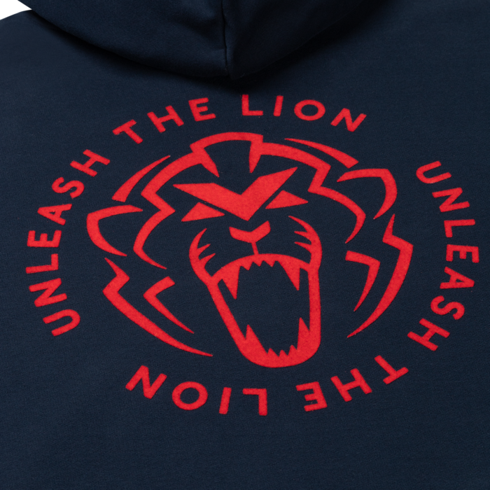 USA Hoodie 2025 - Max Verstappen image