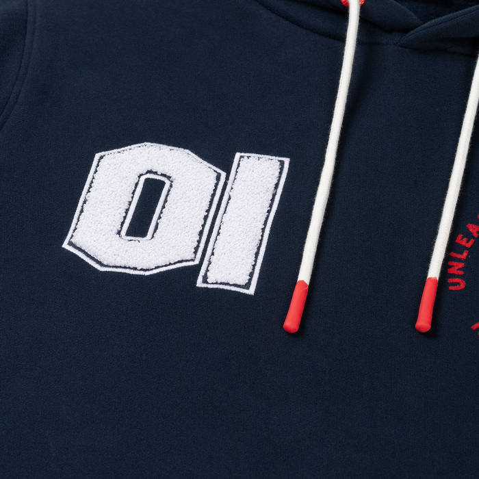 USA Hoodie 2025 - Max Verstappen image