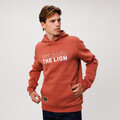 Product image thumbnails